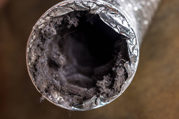 Best Professional Duct Cleaning Services  in Prichard, AL