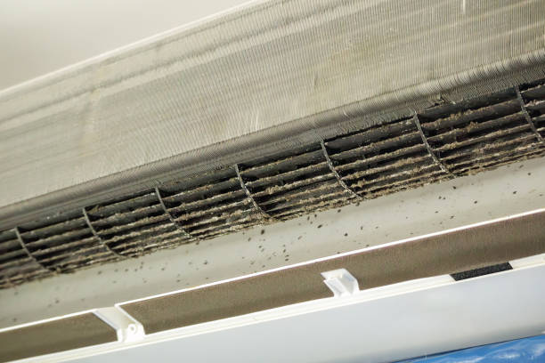 Best Dryer Vent Cleaning Services  in Prichard, AL